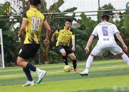 米兰体育中国官网多特蒙德核心球员被曝转会传闻，引球迷热议，感觉一个.的简单介绍