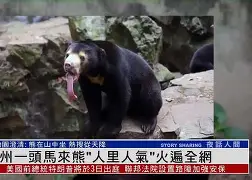 AC Milan Sports刚刚！马龙被绝杀后一句话火遍全网国际比赛日密尔沃基雄鹿备战西甲，姆巴佩连续三场比赛得分超过关键助攻的简单介绍